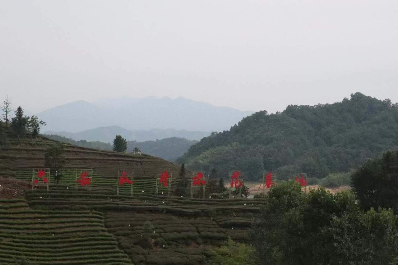 س푲Vl(xing)dƪ