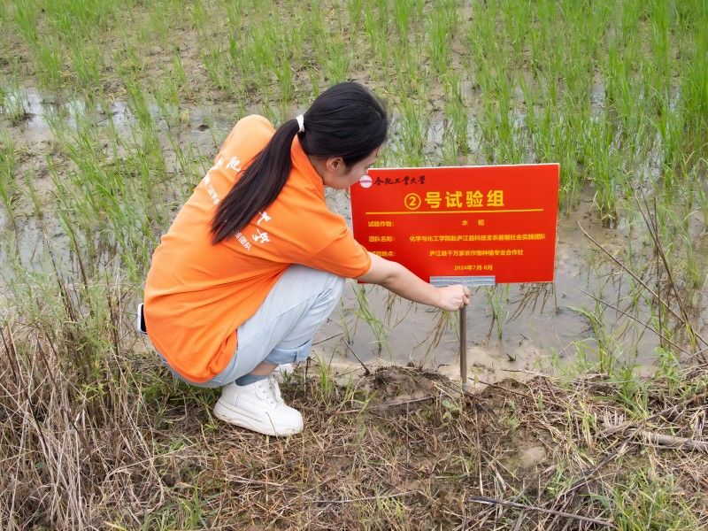 圖1 團(tuán)隊(duì)成員正在進(jìn)行試驗(yàn)田劃分