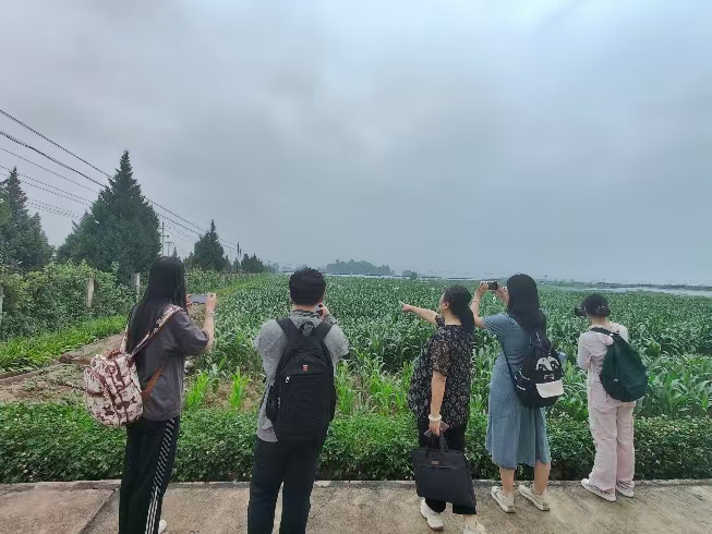 ἅ^(q)r(nng)I(y)l(f)չƪ£W(xu)l(xing)(sh)`֮