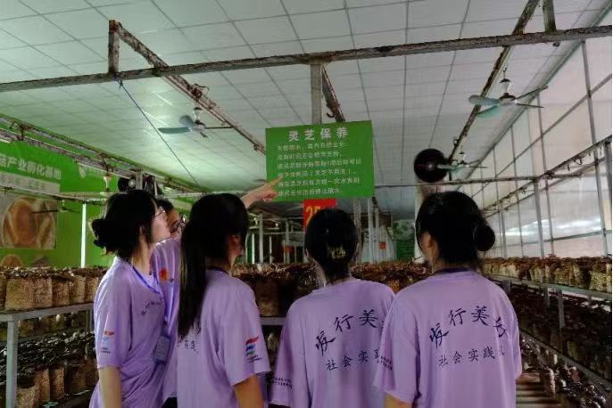 wߪq鏊(qing)֥