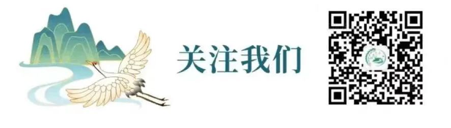 ̡|zɑˏ𣺕rgĵZc