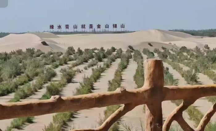 ഺɳGƌW(xu)cg(sh)W(xu)Ժl(xing)(sh)`F(tun)̽wᡰB(ti)f(xi)ͬl(f)չ֮